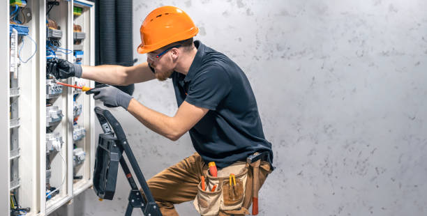 Best Generator Installation Services  in Llington, MI