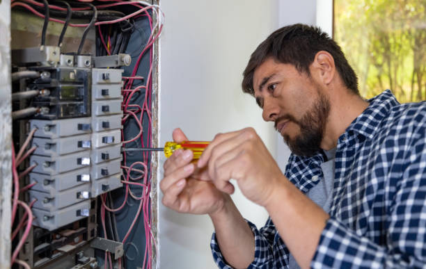 Best Electrical System Inspection  in Llington, MI